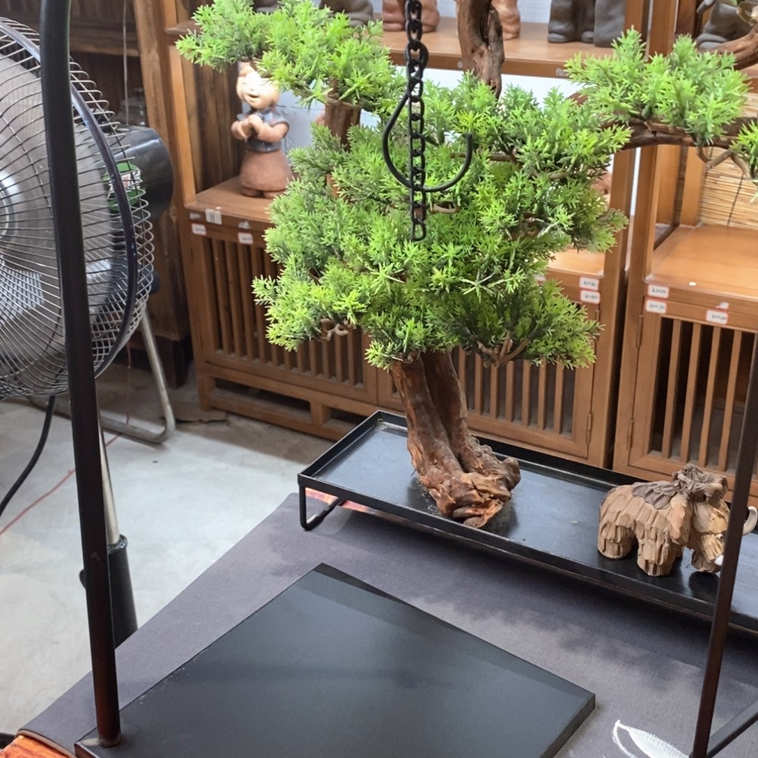 瓷片老婆也要给我发了这么说出来