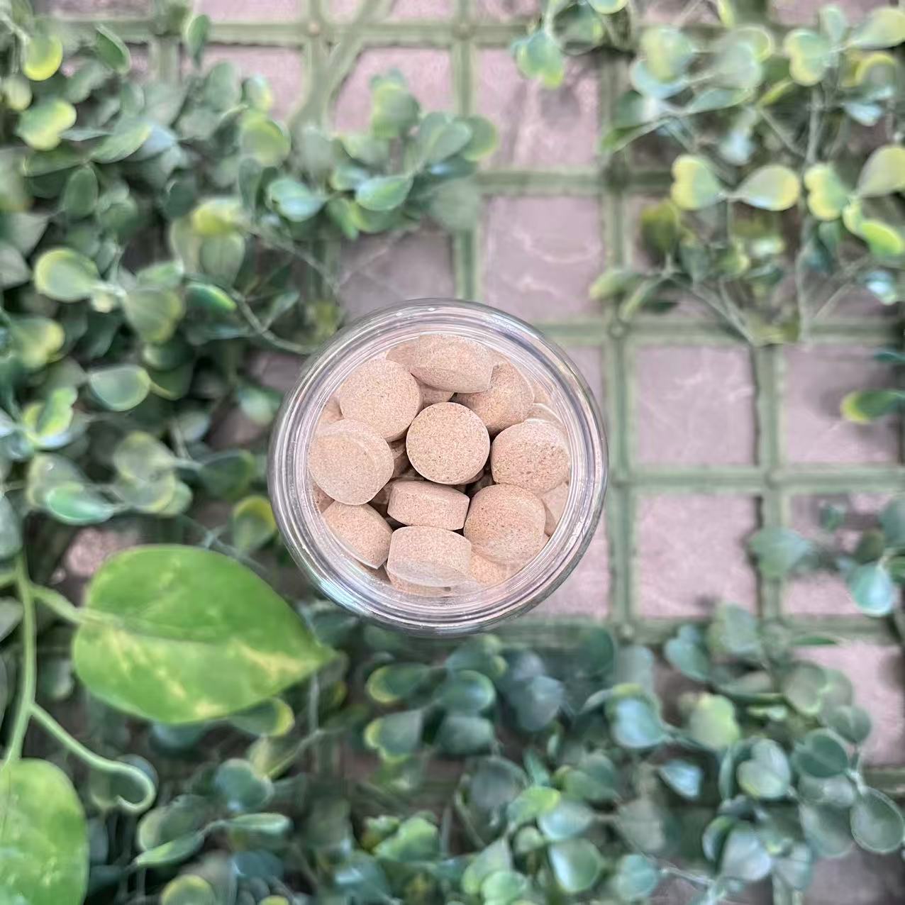 雨腾古茶 北X和“ 锯ZL ”J华 绝S 60g/罐（12月25）