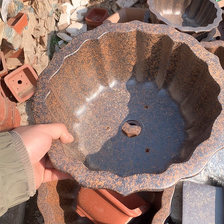 紫砂你要的是我不