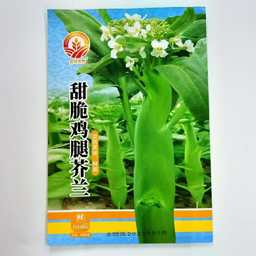 甜脆鸡腿芥兰种子耐热耐寒营养四季高钙生农家蔬菜