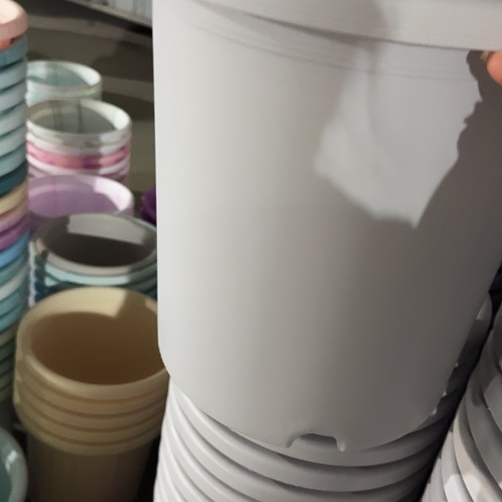 四季7号新灰白无托10个特价