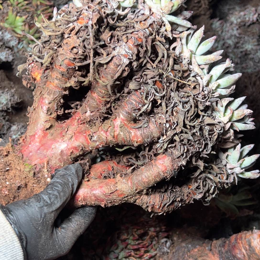 5986哈哈哈哈哈哈哈哈哈