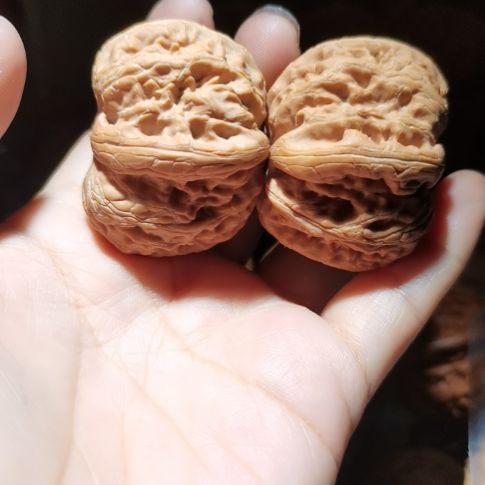 猴头核桃吊坠永****！43元宝