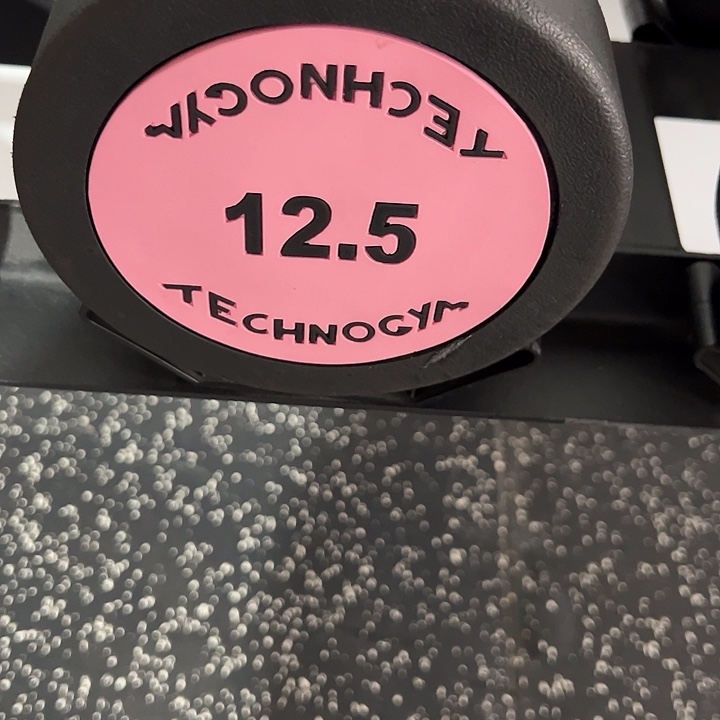 全新纯钢泰诺哑铃12.5公斤一对粉色