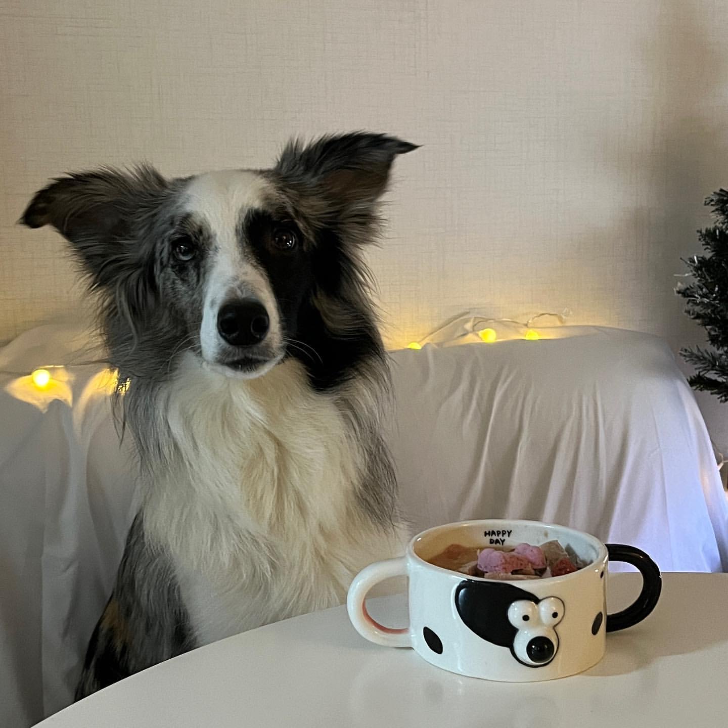 韩国ins同款小狗造型陶瓷碗双耳碗宠物碗釉下彩人工手绘10x4.7cm