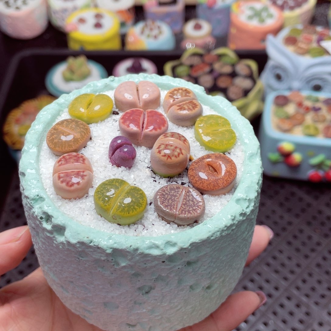 w7804 -零下地区拍保温箱-15支持寄养