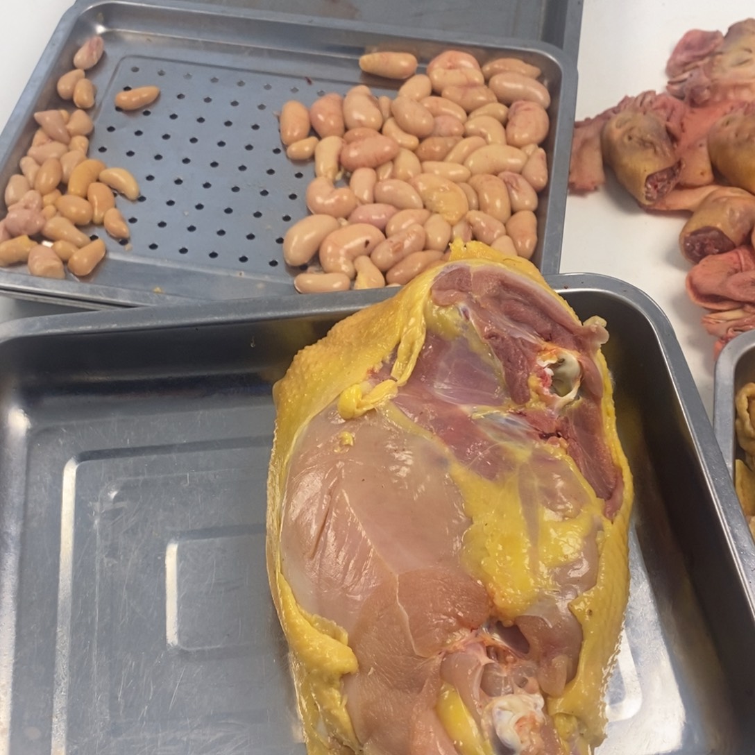 你***良60天包装肉架00020