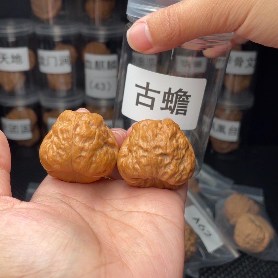 文玩核桃把件李**X古蝉