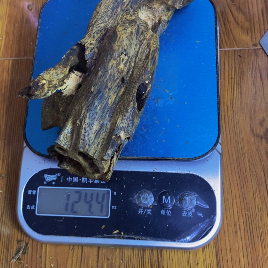小***飞沉香沉香碎屑棋楠母树虫漏124克