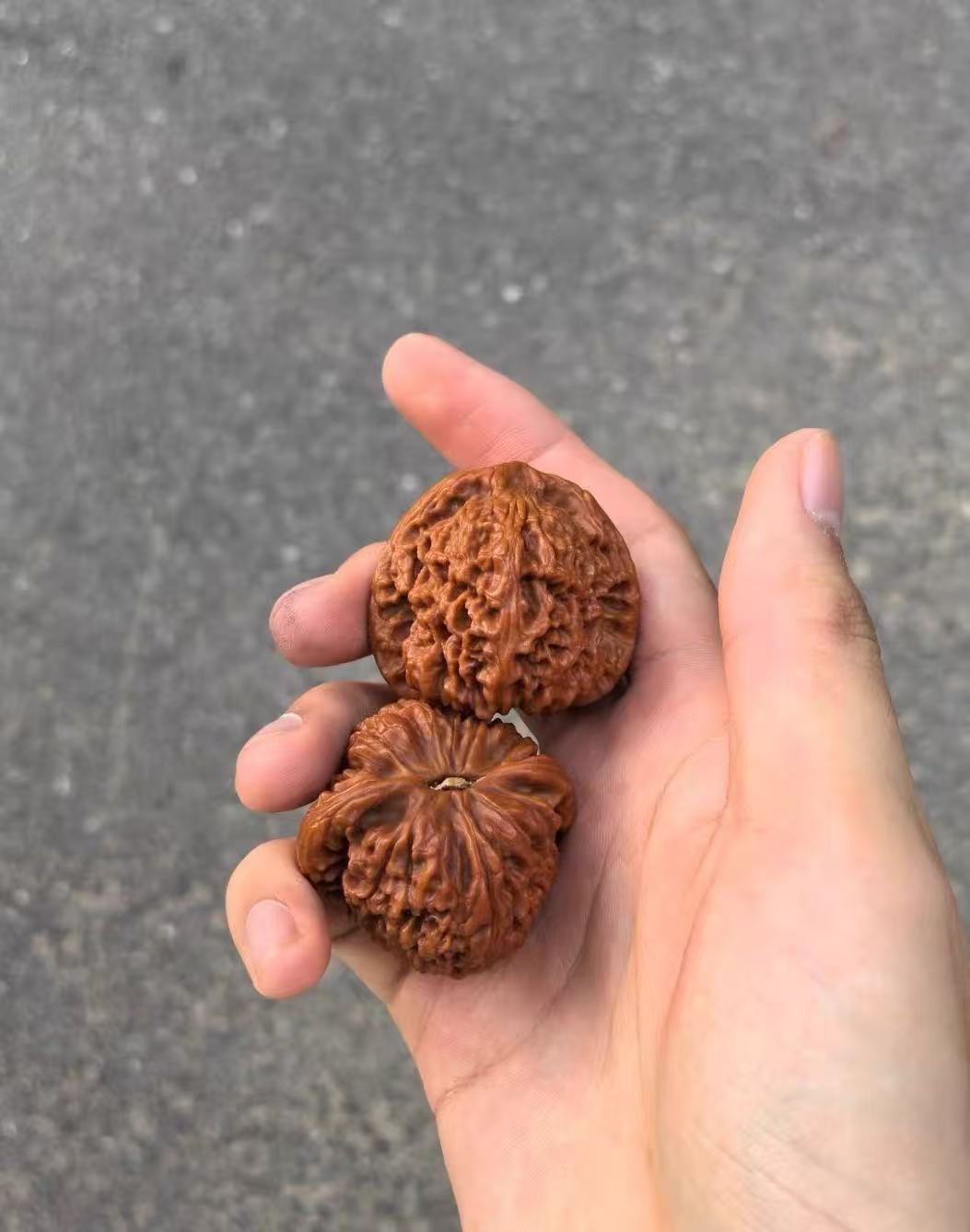 文玩核桃南疆石全品