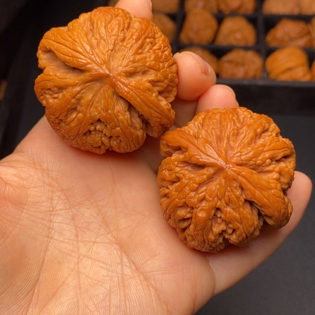 文玩核桃把件秦岭野生核桃