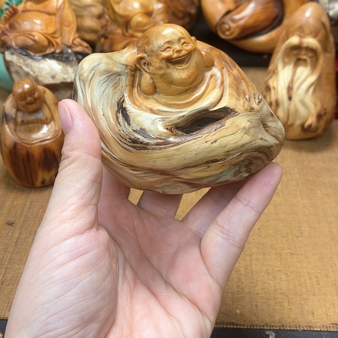 柏木（崖柏）一物一图