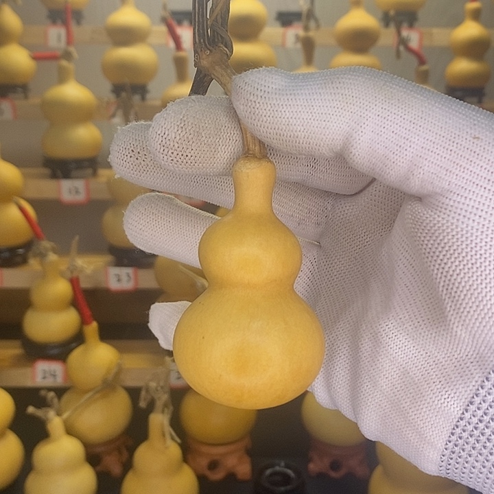 八宝葫芦，厚皮满籽