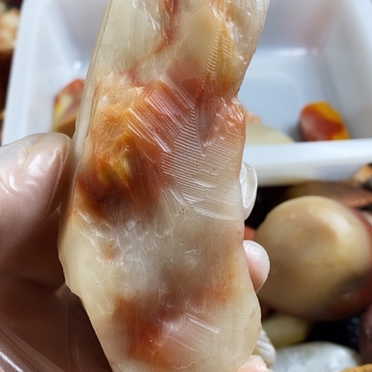 寿山石南*寿山品种石原石毛料
