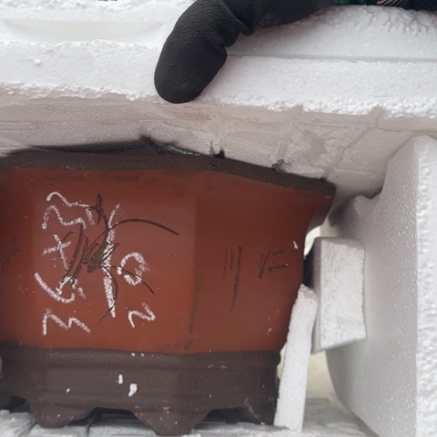 红陶紫砂花盆盆景盆栽瑕疵