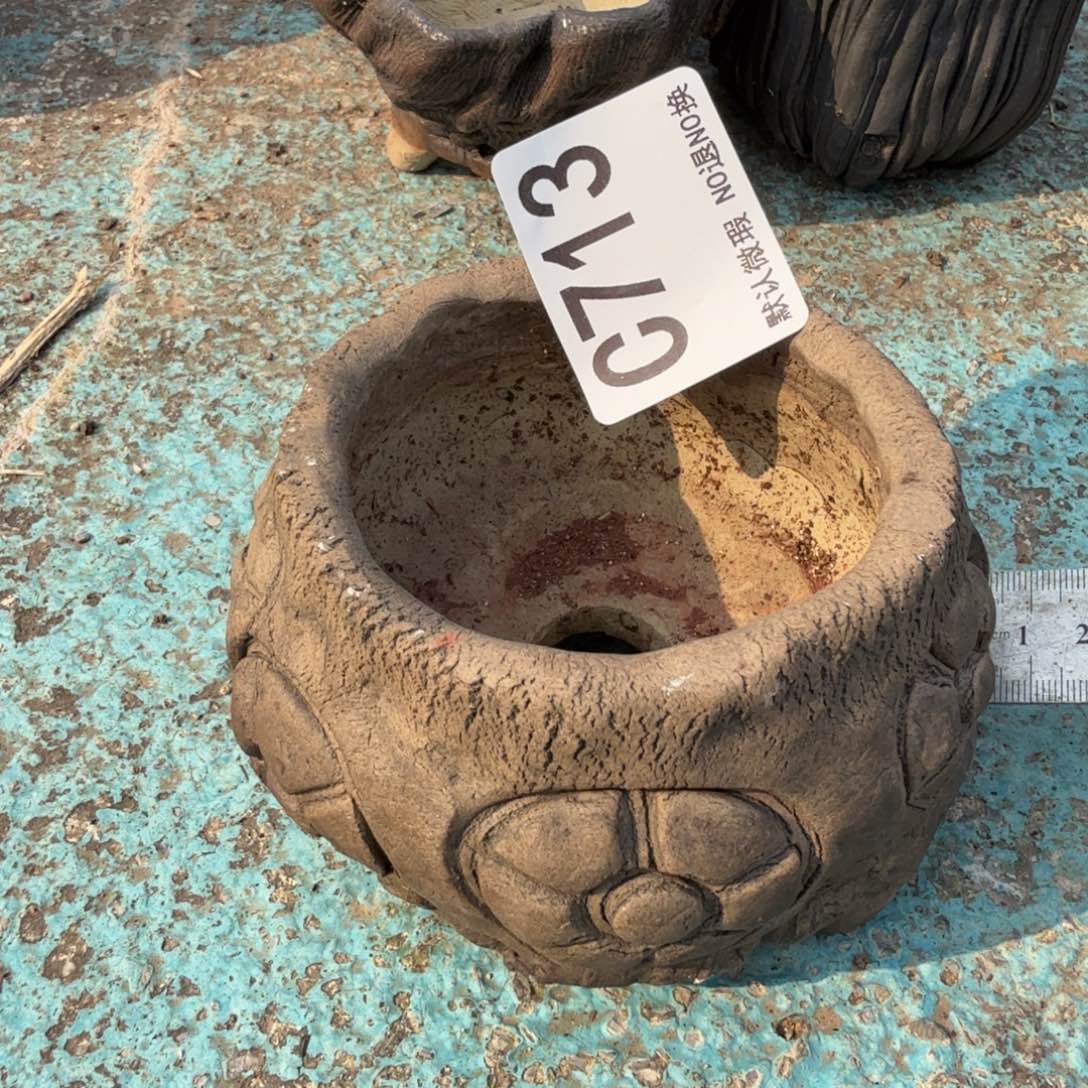 重庆小燕子欢迎大家713