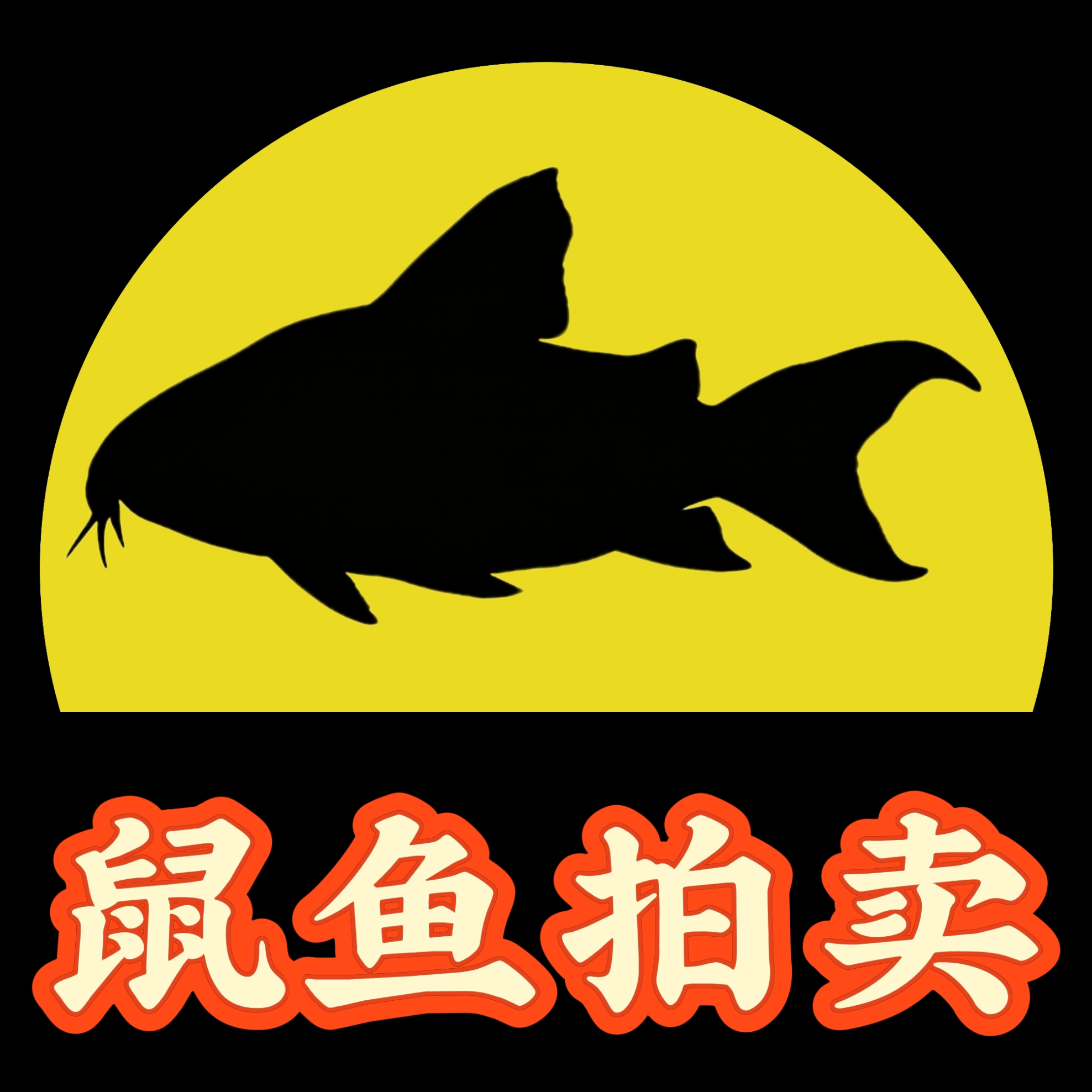 8号 9+长吻超级二线鼠鱼 1条