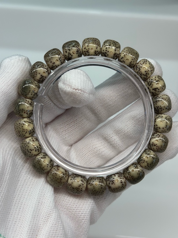 海南原生态星月菩提089