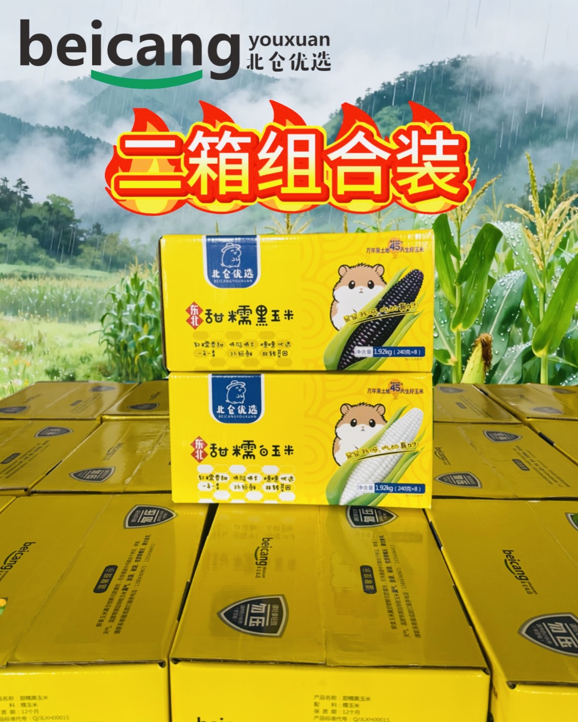 【二色混合装】25年新白糯玉米+黑糯玉米