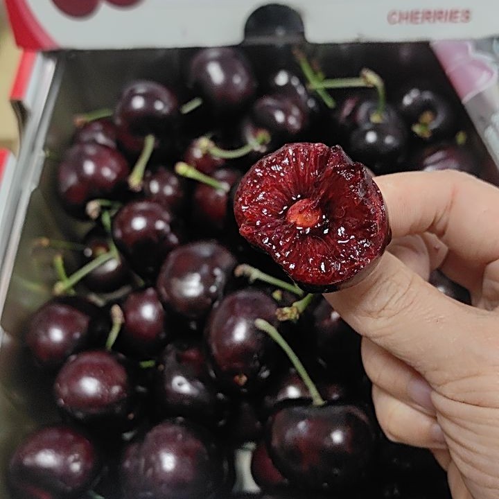 智利进口桑提娜空运车厘子J-JJJJ当季新鲜水果樱桃2斤起内附果径卡  顺丰包邮桑提娜樱桃智利共和国