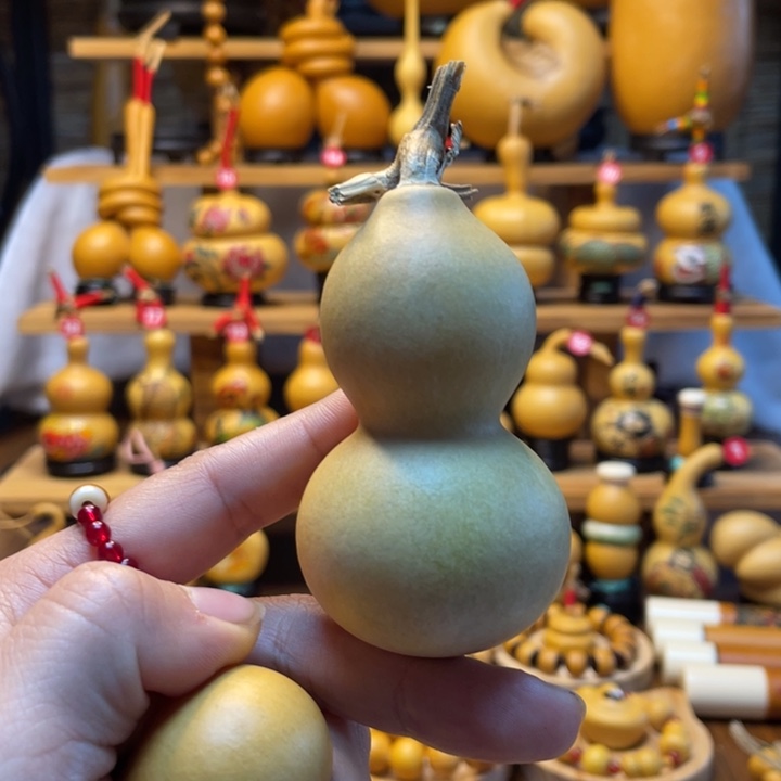 猛****腿天然葫芦自然生长