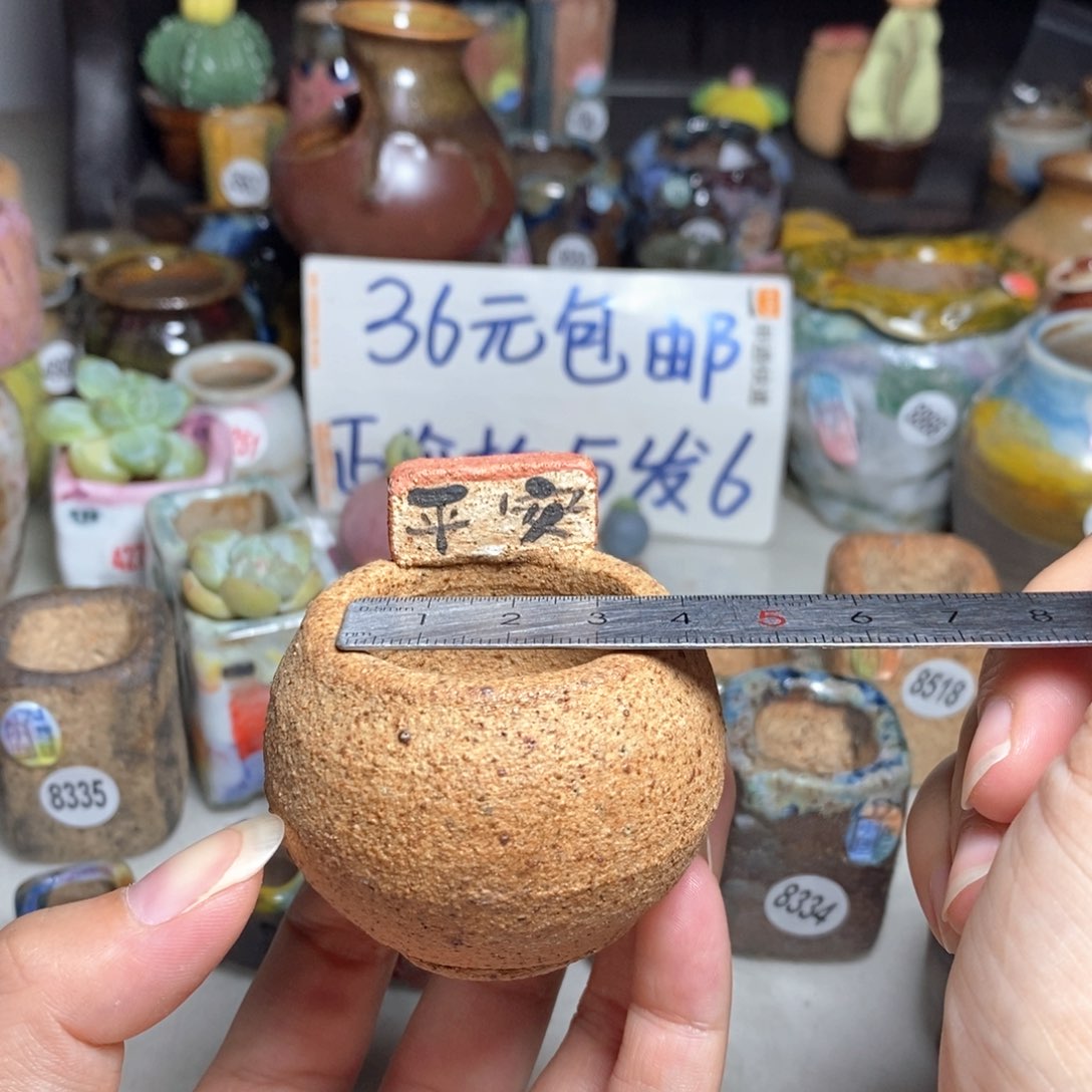 拍3送一个小礼物