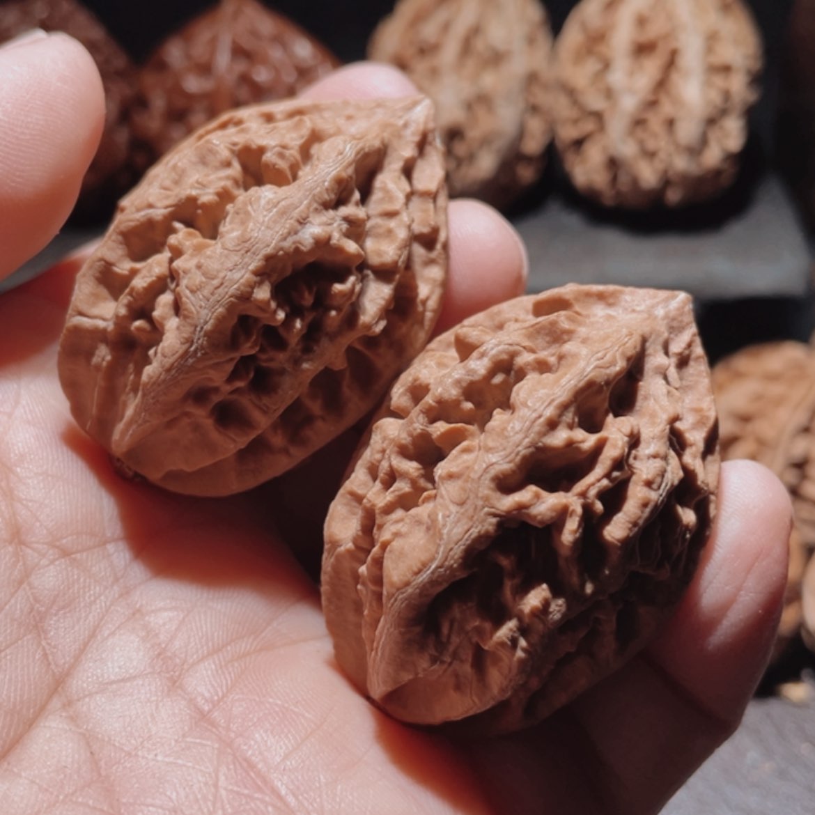 【闪购商品】文玩核桃把件东北楸子102