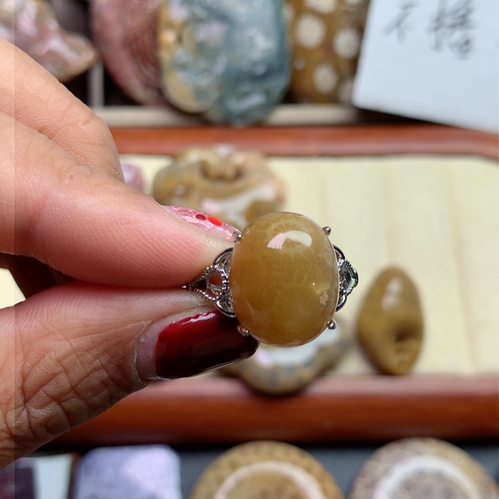 硅化珊瑚（珊瑚玉）颈饰未镶嵌