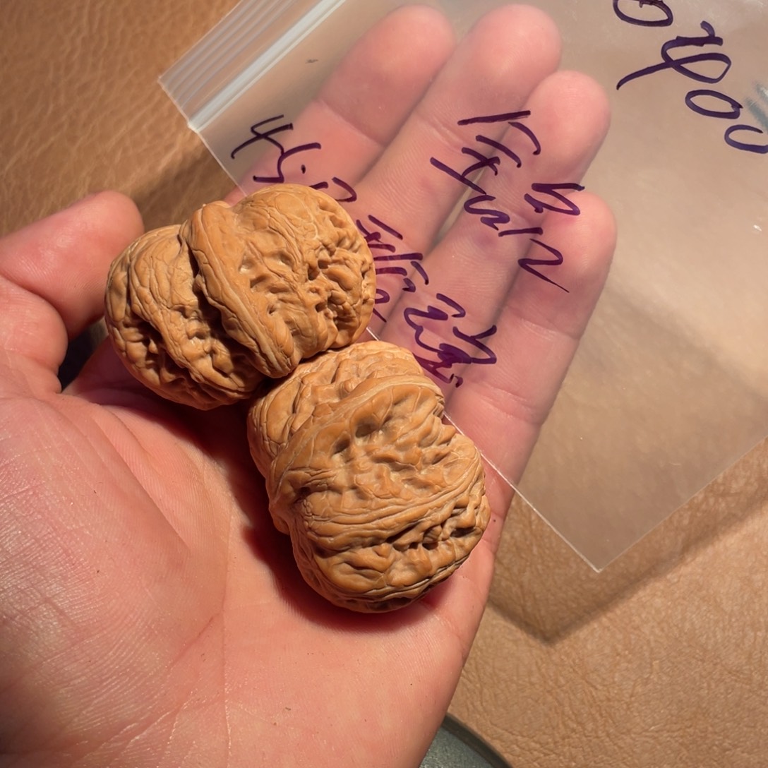 手串/手链核桃0400