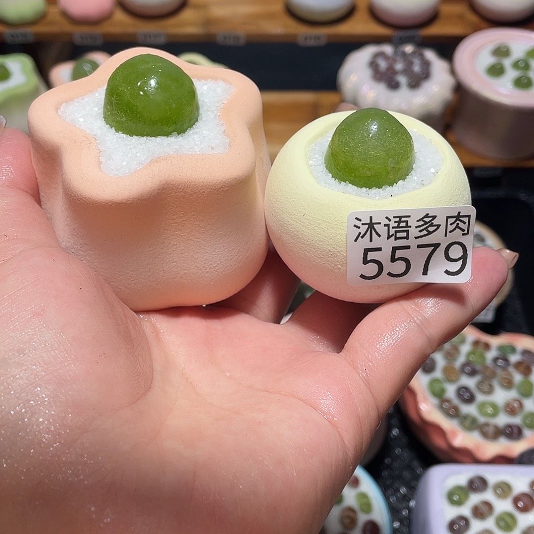 熹***微带盆土植物 一物一拍5579