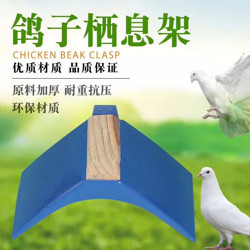 鸽子用品用具鸽子站架栖息架信鸽舒适休息架