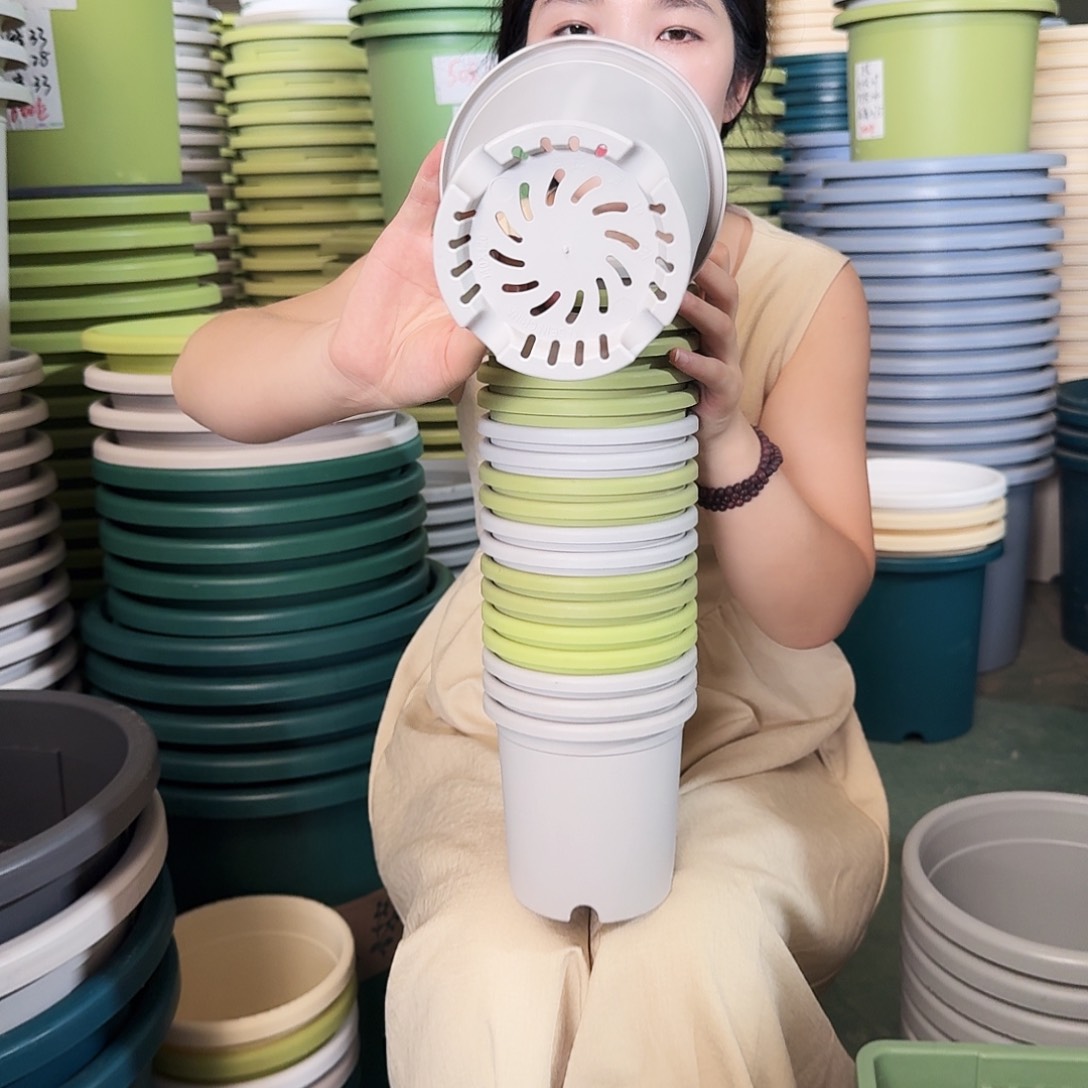 口径24无拖果绿10个