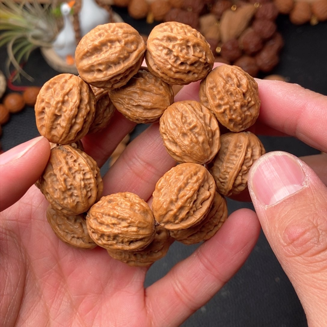 野生小秋子京八楞流水纹