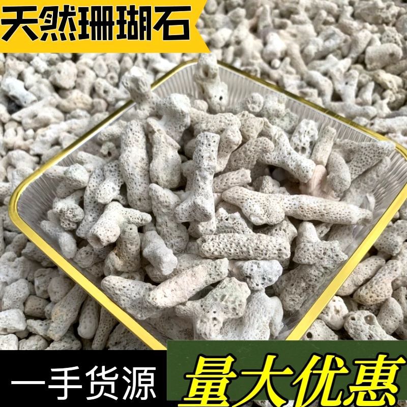 纯天然珊瑚骨鱼池过滤材料鱼缸滤材底砂底沙珊瑚石海鲜池养鱼净化