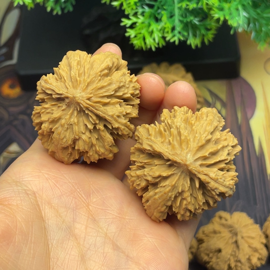 黄***儿文玩核桃把件秦岭核桃26号