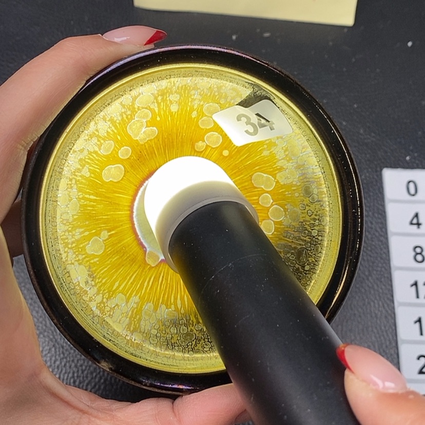 【闪购商品】茶盏34