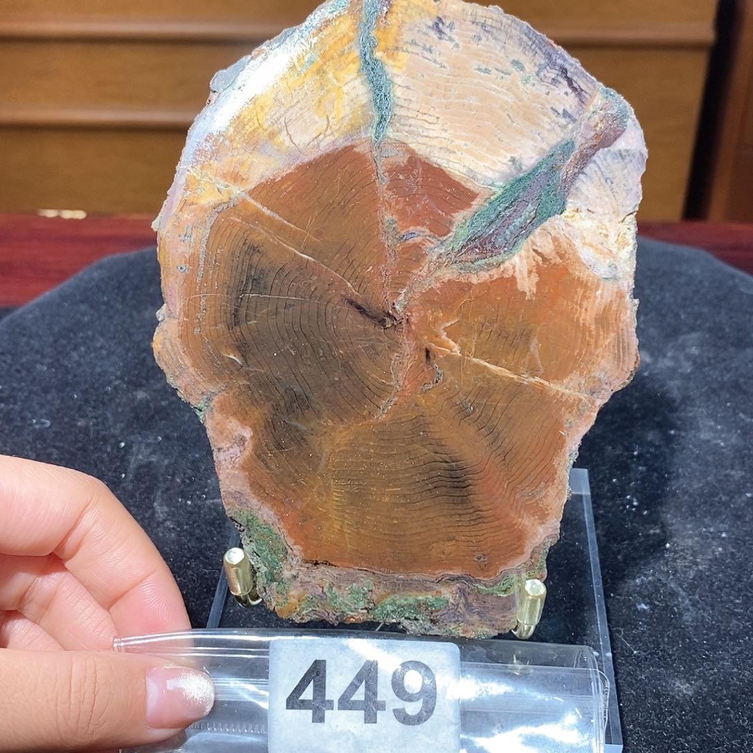 硅化玉天然北票硅化玉原石未镶嵌天然北票硅化玉原石