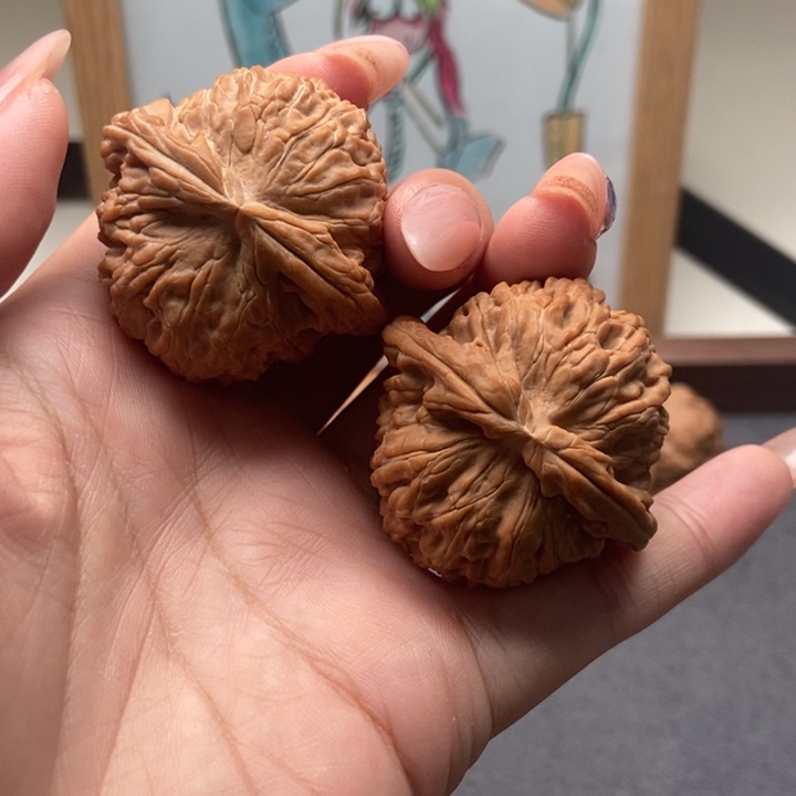 把件文玩核桃42白狮子