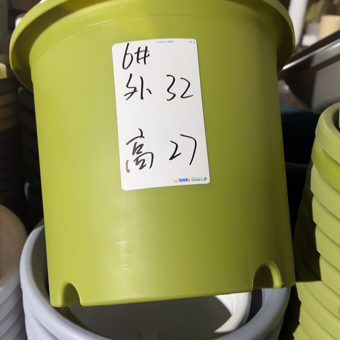 树脂四季6号无托7个果绿