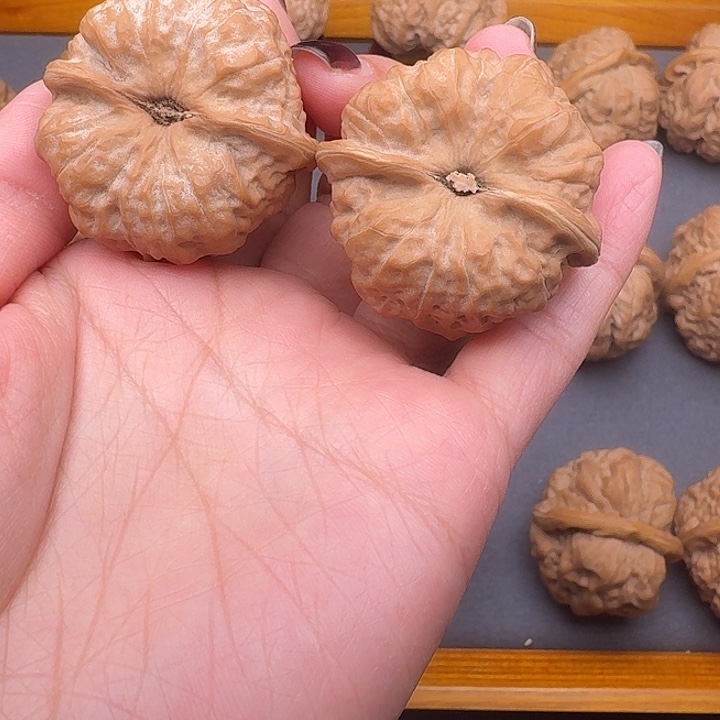 豆***豆39尺文玩核桃蛤蟆头