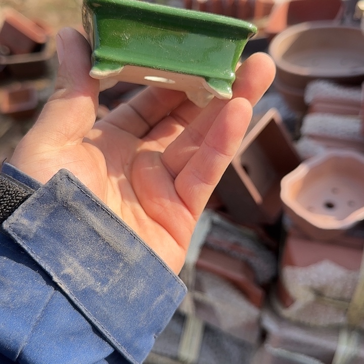 一哈来我这儿吃饭啊亲爱的媳妇啊