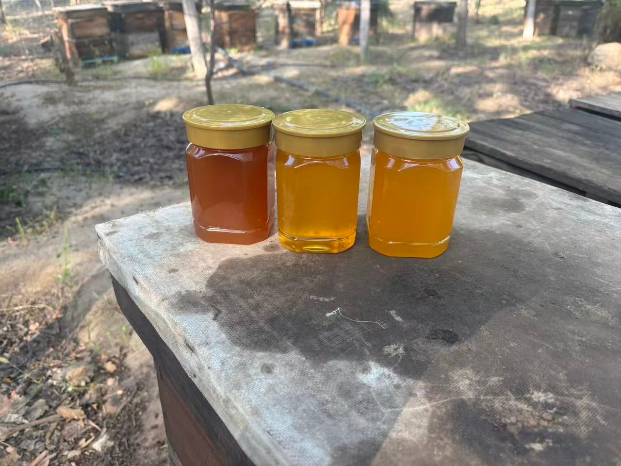 纯蜂蜜天然蜂蜜深山蜜源口感好天然农家蜂蜜