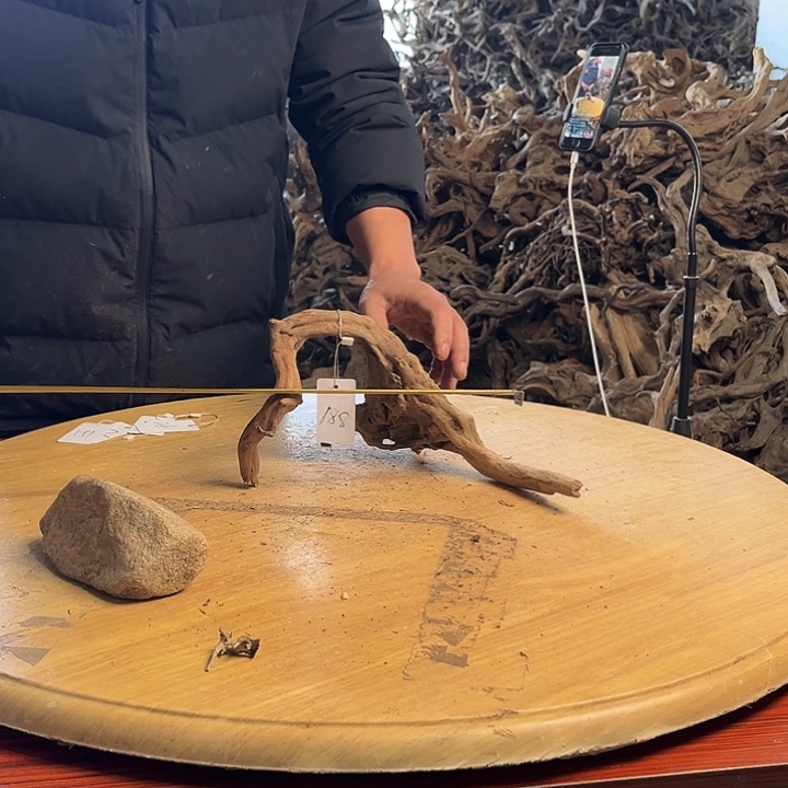 木261515 鱼缸造景根雕艺术188