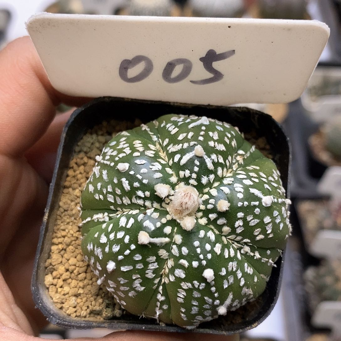 开播特价款福利机构活动