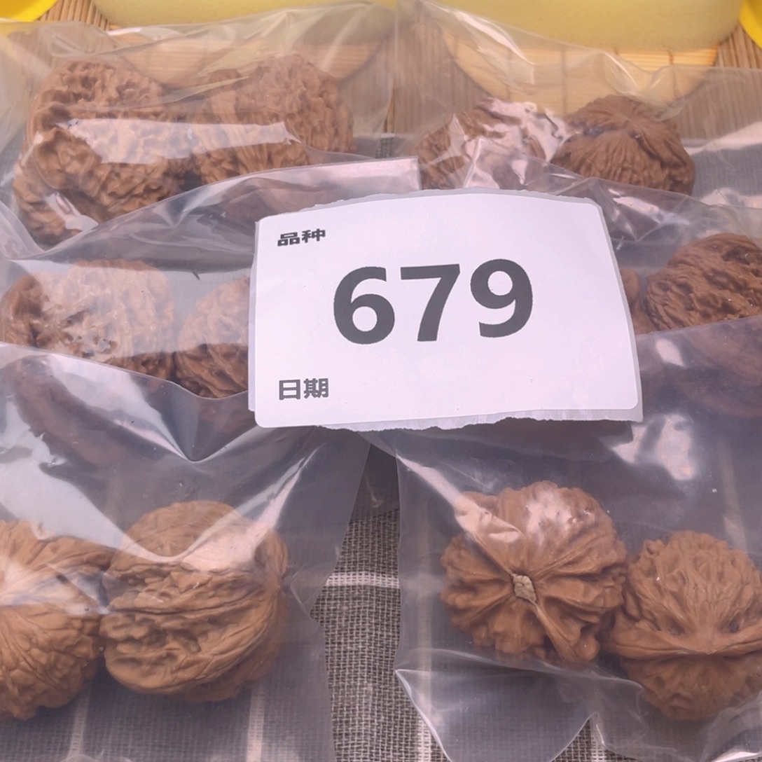 文玩核桃把件679号6对