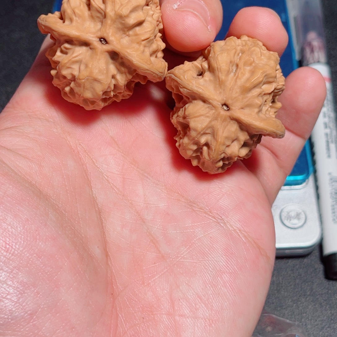 干****37全品野生狼牙山狮子头