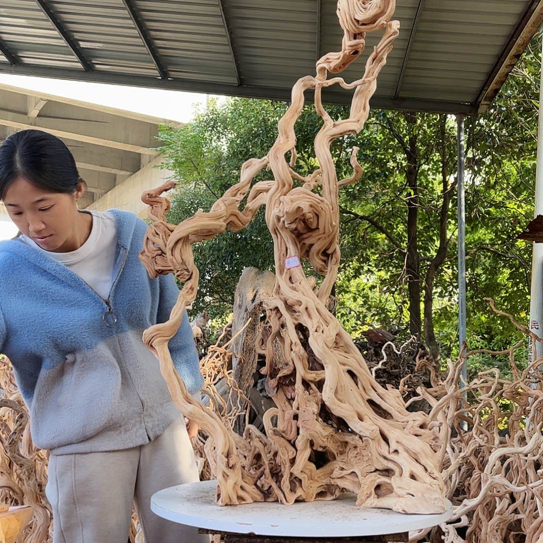 云***心木我是一只小小鸟地域