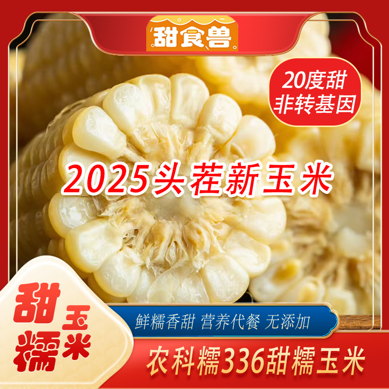 【试吃2根  20度甜】2025年新玉米农科糯336甜糯玉米 不甜不糯包赔 