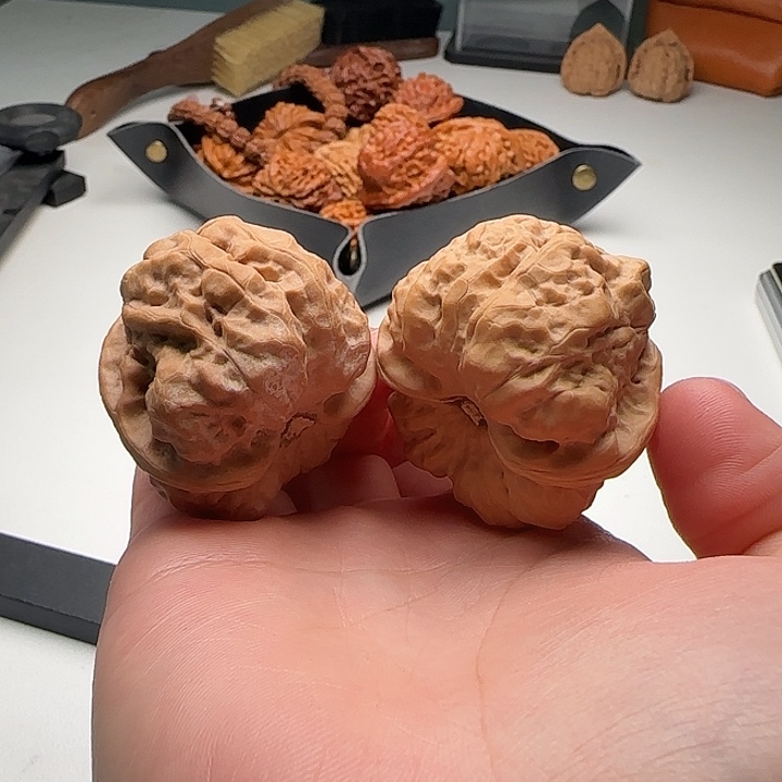 41-44-37肌肉蛙四开背蟾型好B5号