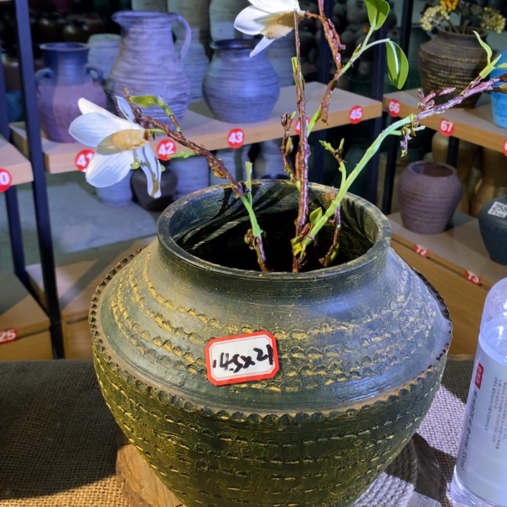 【闪购商品】正品现货